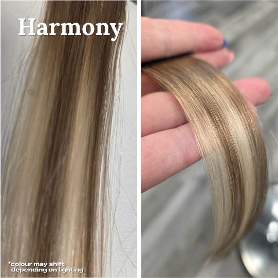 The Signature FX Halo Topper in Harmony